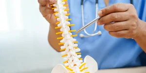 A healthcare professional in scrubs holding a model of a human spine with a stethoscope around their neck, pointing at the spine with a pen.